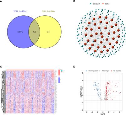 A novel signature based on necroptosis-related long non-coding RNAs for predicting prognosis of patients with glioma